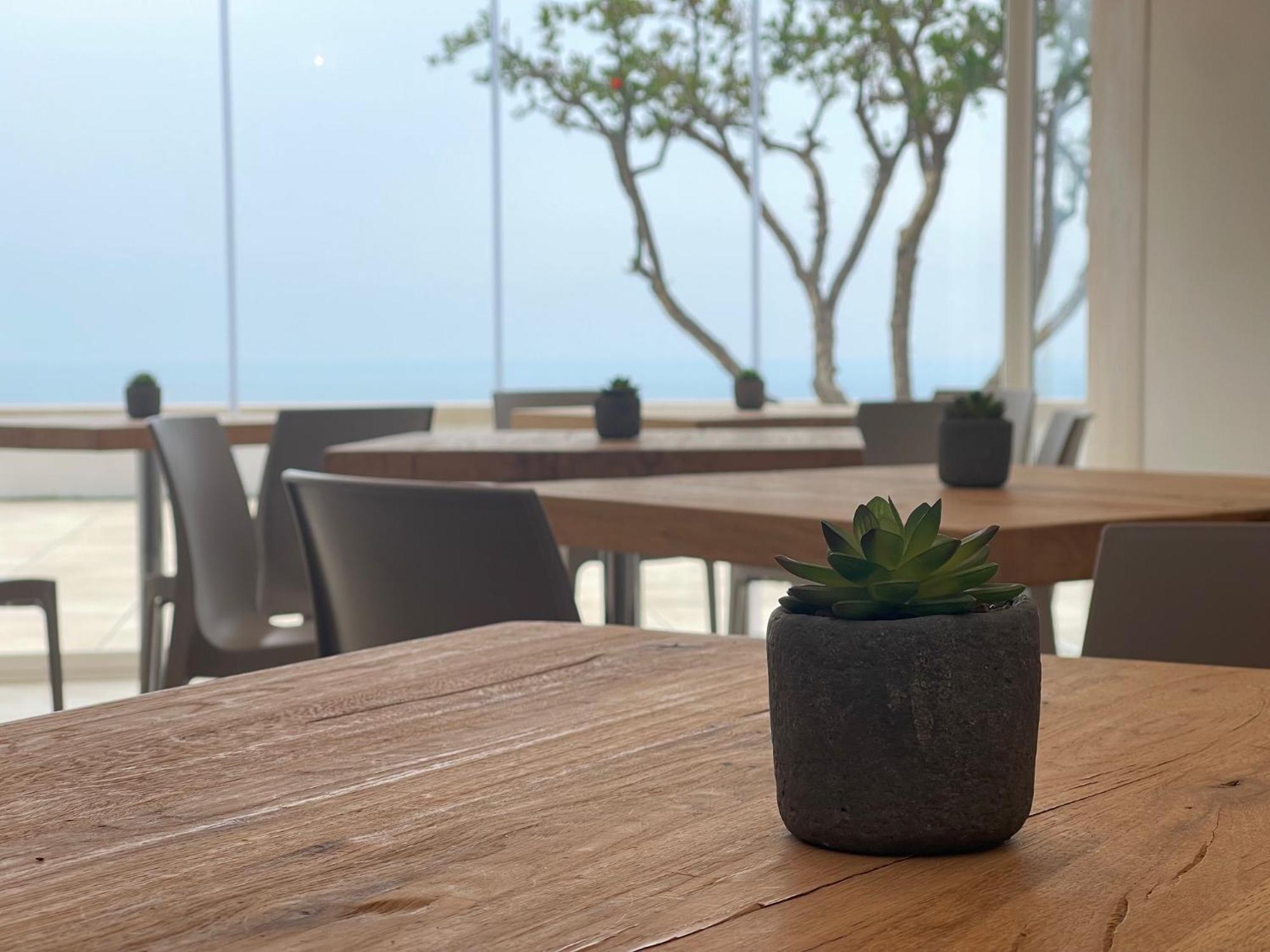 Daedalium Bed & Breakfast มารินา ดิ ปาลมา ภายนอก รูปภาพ